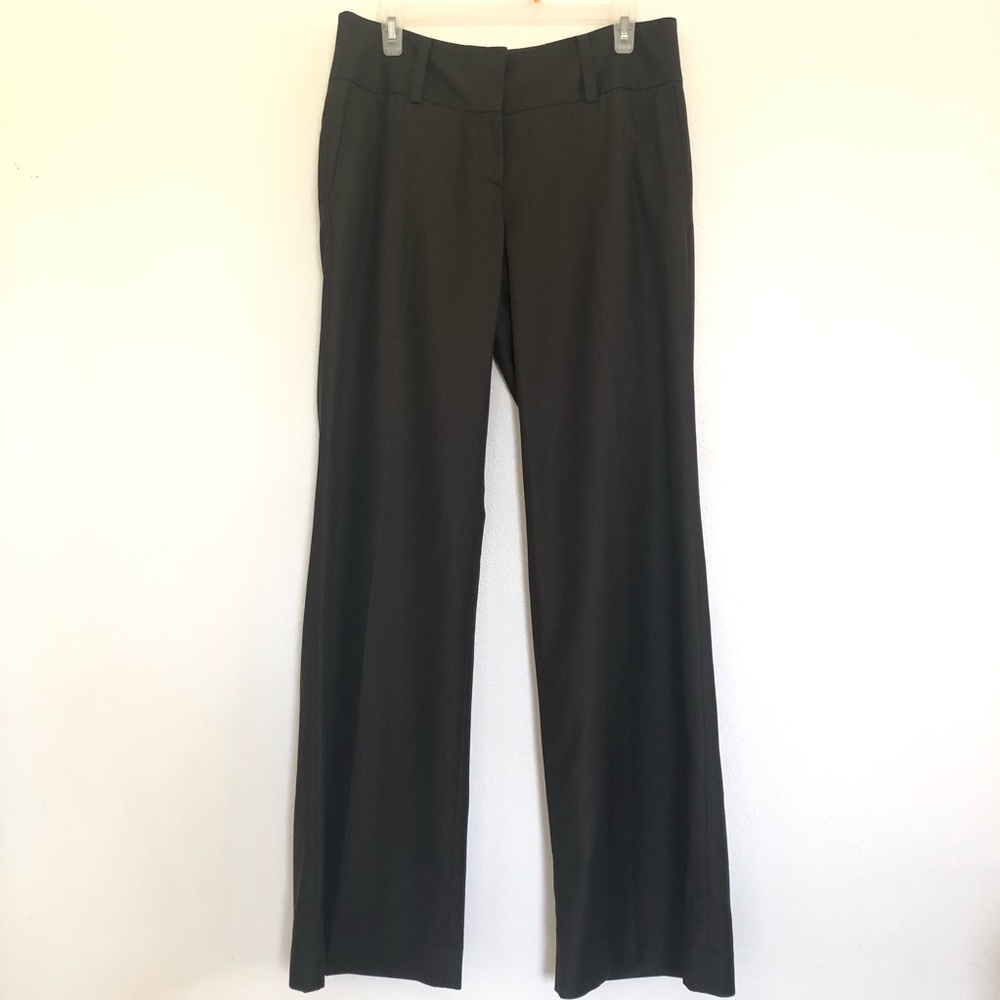 Ann Taylor Lindsay Brown Professional Pants.
